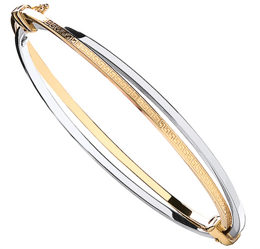 9ct Yellow & White Gold Two Row Bangle - jewellerysavers